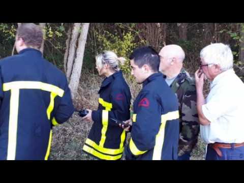 Sainte Geneviève : un nid de frelons asiatiques en bordure de chemin