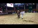 Salon de l'agriculture 2017 concours chevaux de trait comtois