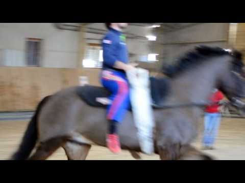 Nicolas Andréani vice-champion du monde 2014 de voltige équestre