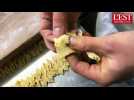 Recette des beignets de carnaval