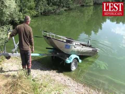 Des centaines de poissons-chats piégés dans les nasses de Sandro