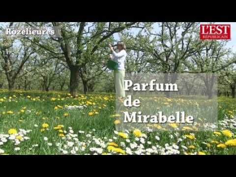 Rozelieures : parfum de mirabelle