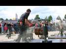 Haute Foire de Pontarlier Coupe &agrave; la tron&ccedil;onneuse - Label : L'Est Républicain - Category : News