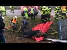 Op&eacute;ration de sauvetage des chevaux accident&eacute;s sur l'A 31 - Label : L'Est Républicain - Category : News