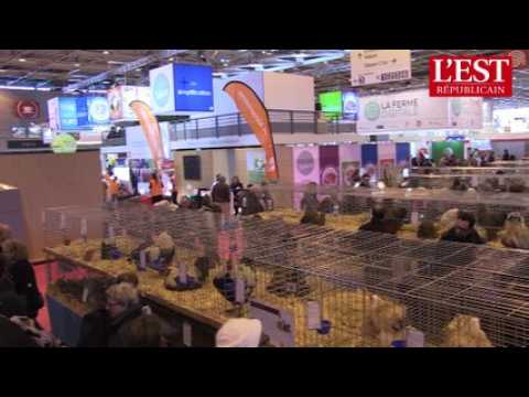Meuse : Jean Claude Périquet patron du poulailler du salon de l'agriculture