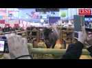 Salon de l'agriculture : ambiance dans la plus grande ferme de France