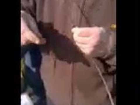 Lunéville : cours de greffe avec les Croqueurs de...