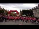 Octobre Rose : record battu à Nancy)