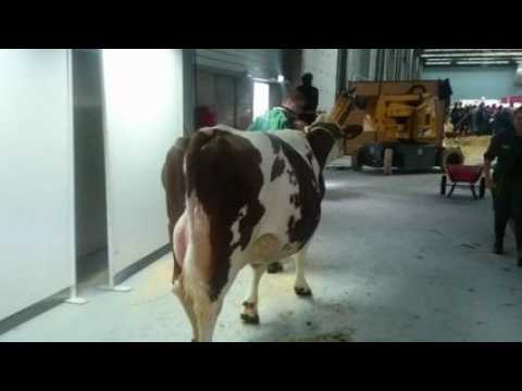 Dans les coulisses de Doubs terre d'élevage...