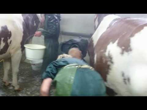 Dans les coulisses de Doubs terre d'élevage...