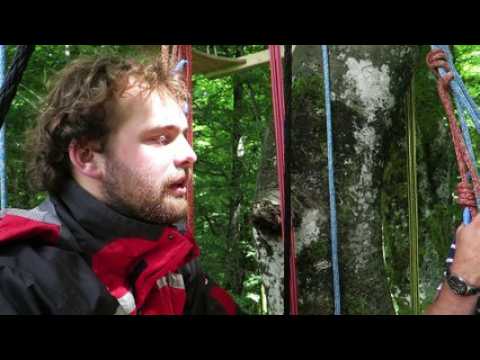 Concept du Resto Branché, dans les arbres.