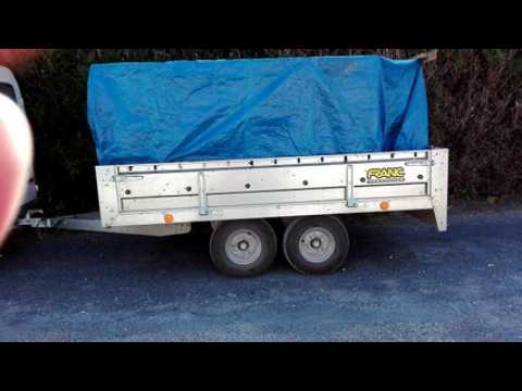 Gray Des abeilles s'échappent du camion d'un mystérieux apiculteur