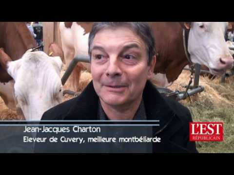 Salon de l'agriculture, Jean-Jacques Charton, éleveur de la meilleure montbéliarde