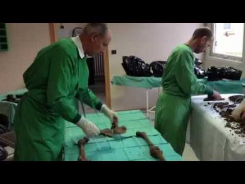 Meuse : decouverte de corps de...