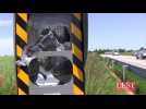 Radar canarde au fusil de chasse a Ceintrey... - Label : L'Est Républicain - Category : News