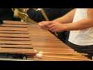 ONL : Percussions : Marimba - Label : L'Est Républicain - Category : Culture