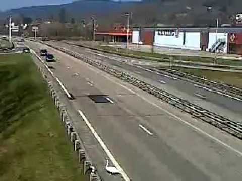 Deux Nancéiennes sauvent un cygne (1)