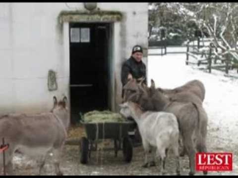 pepiniere 200 pensionnaires dans l hiver