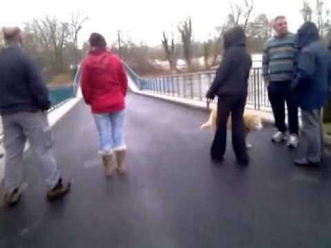 Rupture d'un pont à Bainville-aux-Miroirs (54)