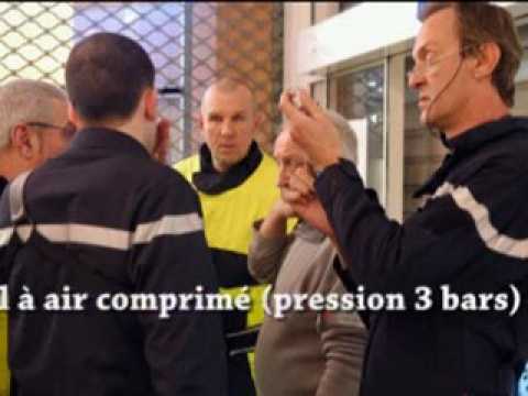 Un sanglier dans un salon de coiffure Lorrain