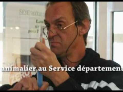 Sanglier dans un salon de coiffure