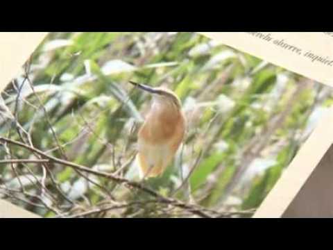 croisière des lecteurs mardi