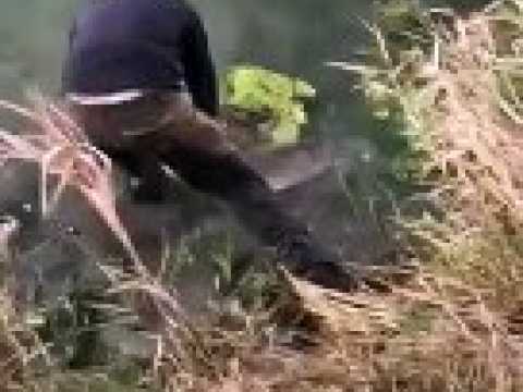 Haut-Doubs : relâche d'un brochet d'1,27 mètre dans le Doubs, à Morteau