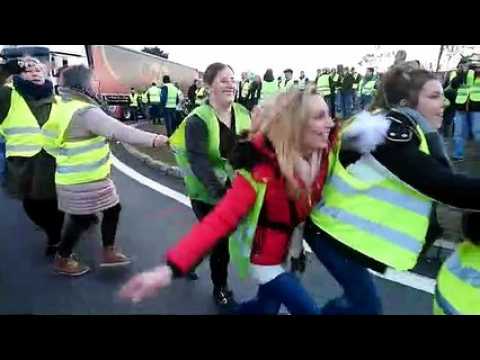 Une petite danse des canards au rond point de Noidans les Vesoul. La bonne humeur est là