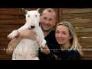 Robert Goetz, &eacute;leveur de bull-terriers &agrave; Rombas, en Moselle - Label : L'Est Républicain - Category : News