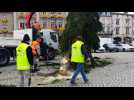 Pont-à-Mousson : le sapin de Noël installé place Duroc
