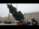 Le sapin de Noël est arrivé place Stanislas à Nancy