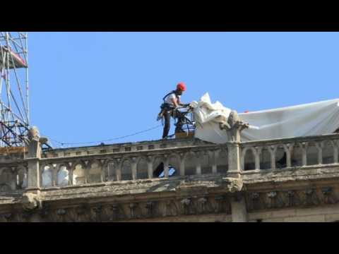 Notre-Dame renovation work restarts after lead pollution fears