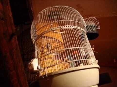 Portrait de Karim Mokhtari