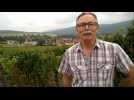 Mon film.wmv - Label : Les Dernières Nouvelles d'Alsace - Category : News