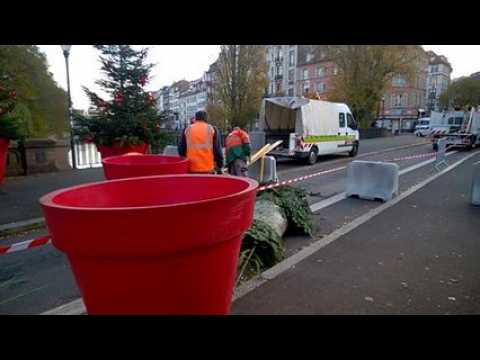 WP_20161125_08_42_36_Pro.mp4