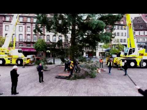 Le sapin de la place Kléber filmé par un drone