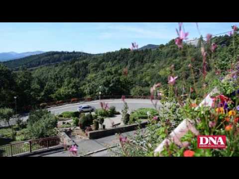 Au menu à Monrepos : Gambas croustillantes