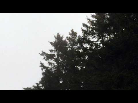 Tempête au Champ du Feu 3
