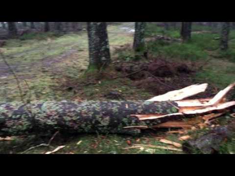 Tempête au Champ du Feu 2