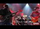 Le groupe de rock américain " Toto " met le feu à la Foire aux vins de Colmar