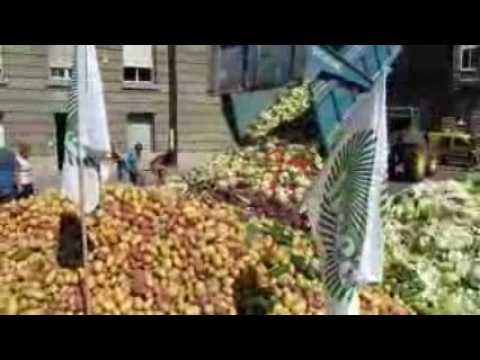 Manifestation des producteurs de fruits/légumes à Strasbourg