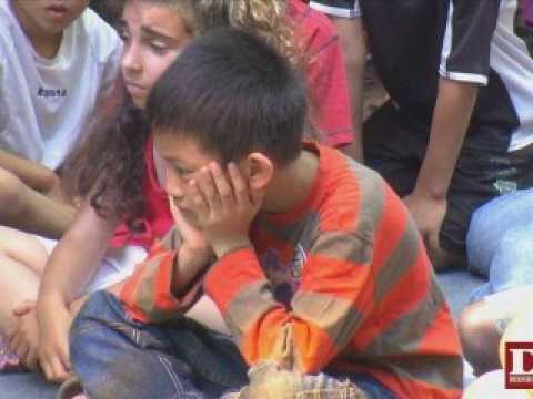 Les élèves de deux écoles se privent d'écrans pour 10 jours