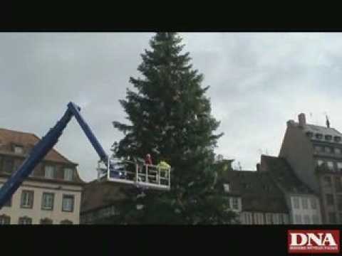 En haut du grand sapin avec Antoinette Pflimlin