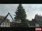 En haut du grand sapin avec Antoinette Pflimlin