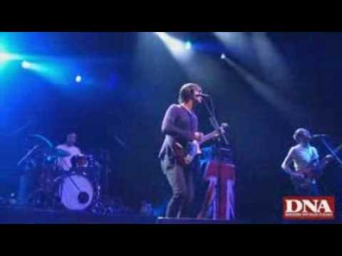 Concert Babyshambles festival foire aux vins colmar 2009