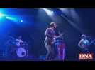 Concert Babyshambles festival foire aux vins colmar 2009