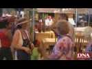 Défilé des confréries viniques foire aux vins de colmar 2009
