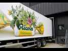 Ricola ou le succ&egrave;s plan&eacute;taire du bonbon suisse - Label : L'Alsace - Category : News