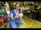 Les abeilles de la ferme pédagogique du Luppachhof