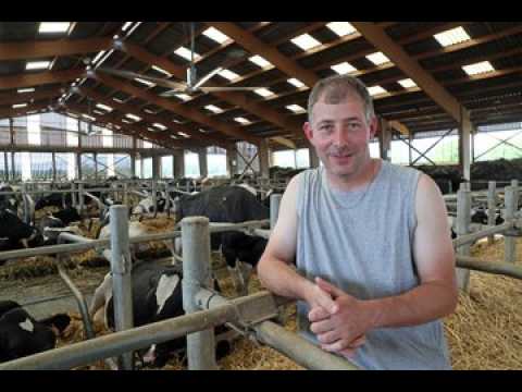 Ventilateurs contre la canicule pour les vaches alsaciennes
